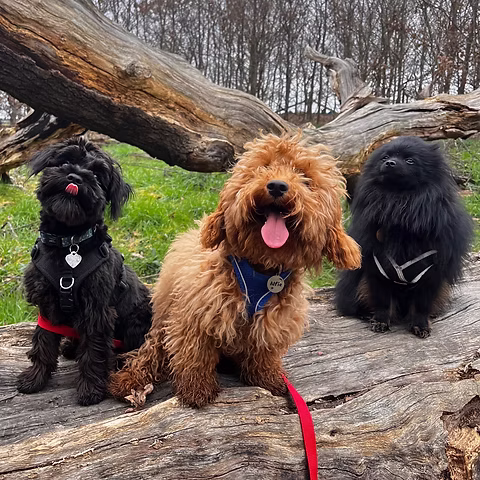 Go on adventures